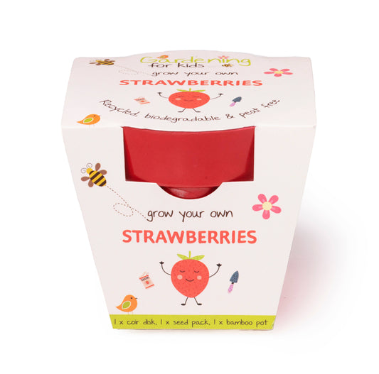 Children's Grow Your Own Strawberries Growing Kit