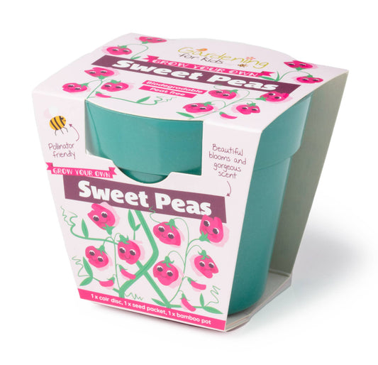Children's Grow Your Own Sweet Pea Growing Kit