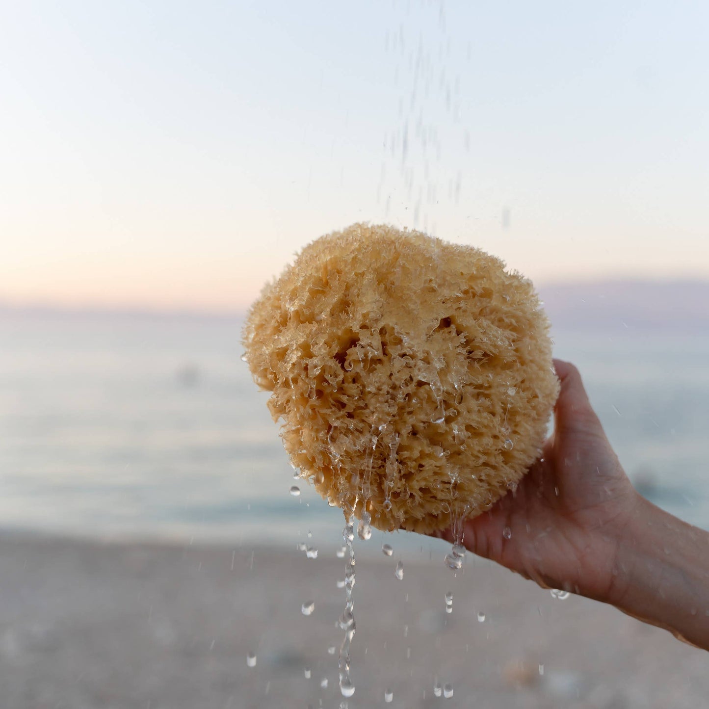 Natural Sea Sponge - Hand Harvested