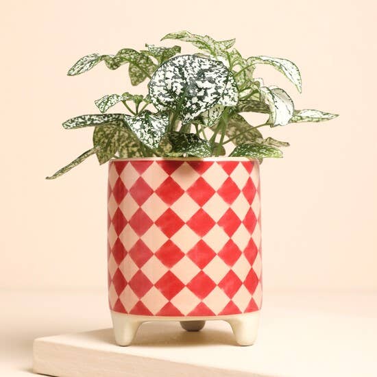 Pink and Red Checkerboard Mini Plant Pot