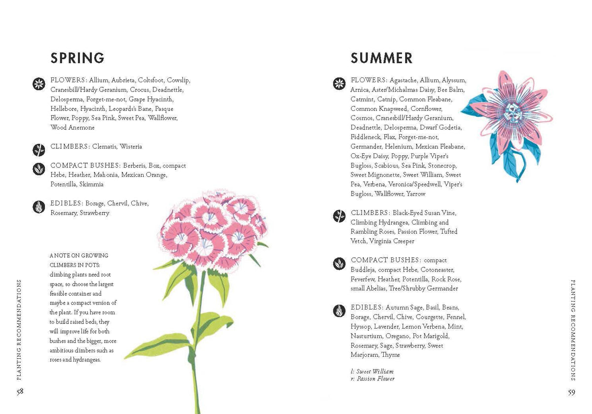 Planting For Honeybees Book