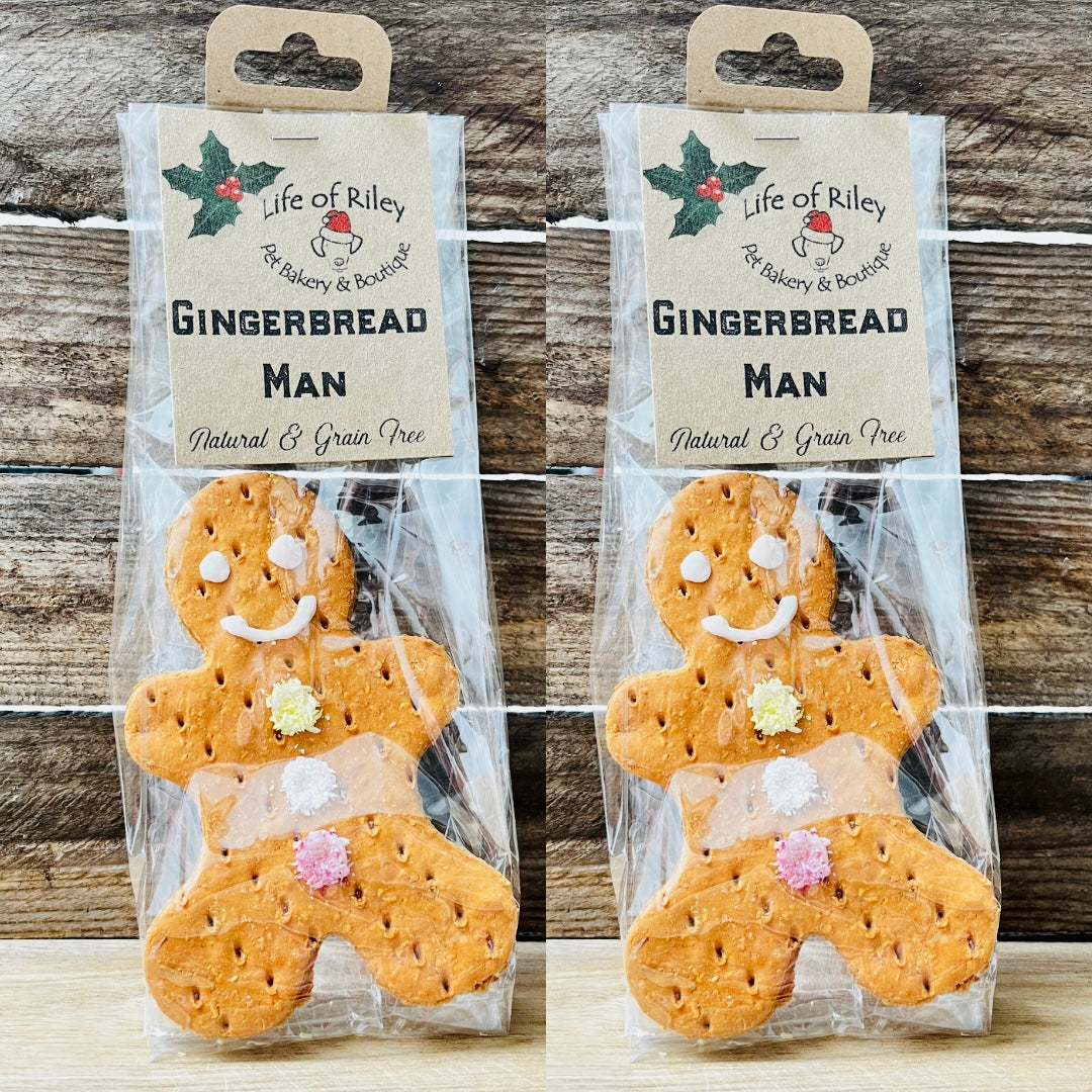 Festive Gingerbread Man Dog Treat