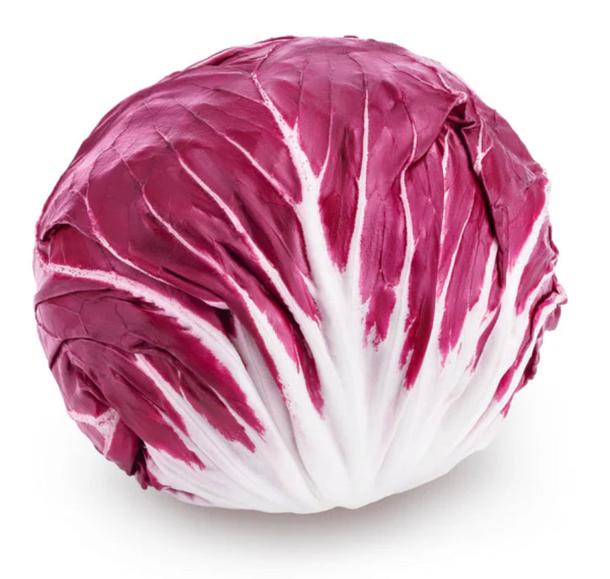 Italian Radicchio Lettuce