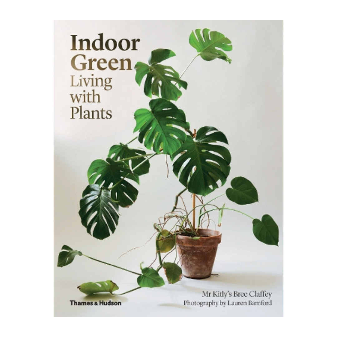 Indoor Green: Living with Plants (Paperback)