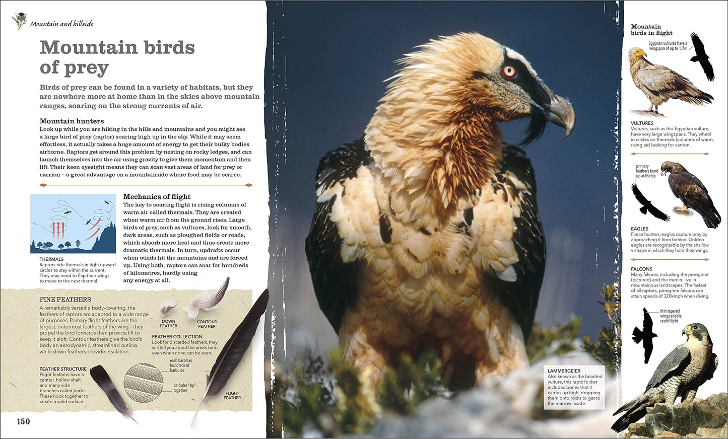 Chris Packham’s Nature Handbook