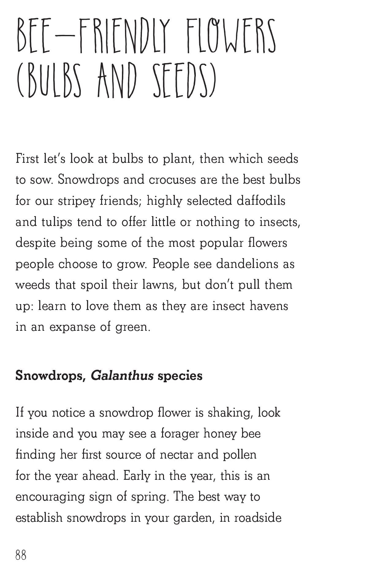 Plant Trees Sow Seeds Save the Bees