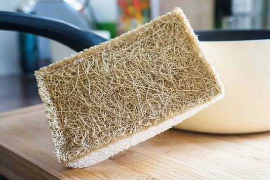 Loofah Sponge Kitchen Scourer - EcoLiving