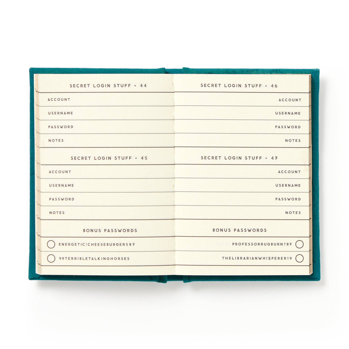 Definitely Not My Passwords Tiny Diary