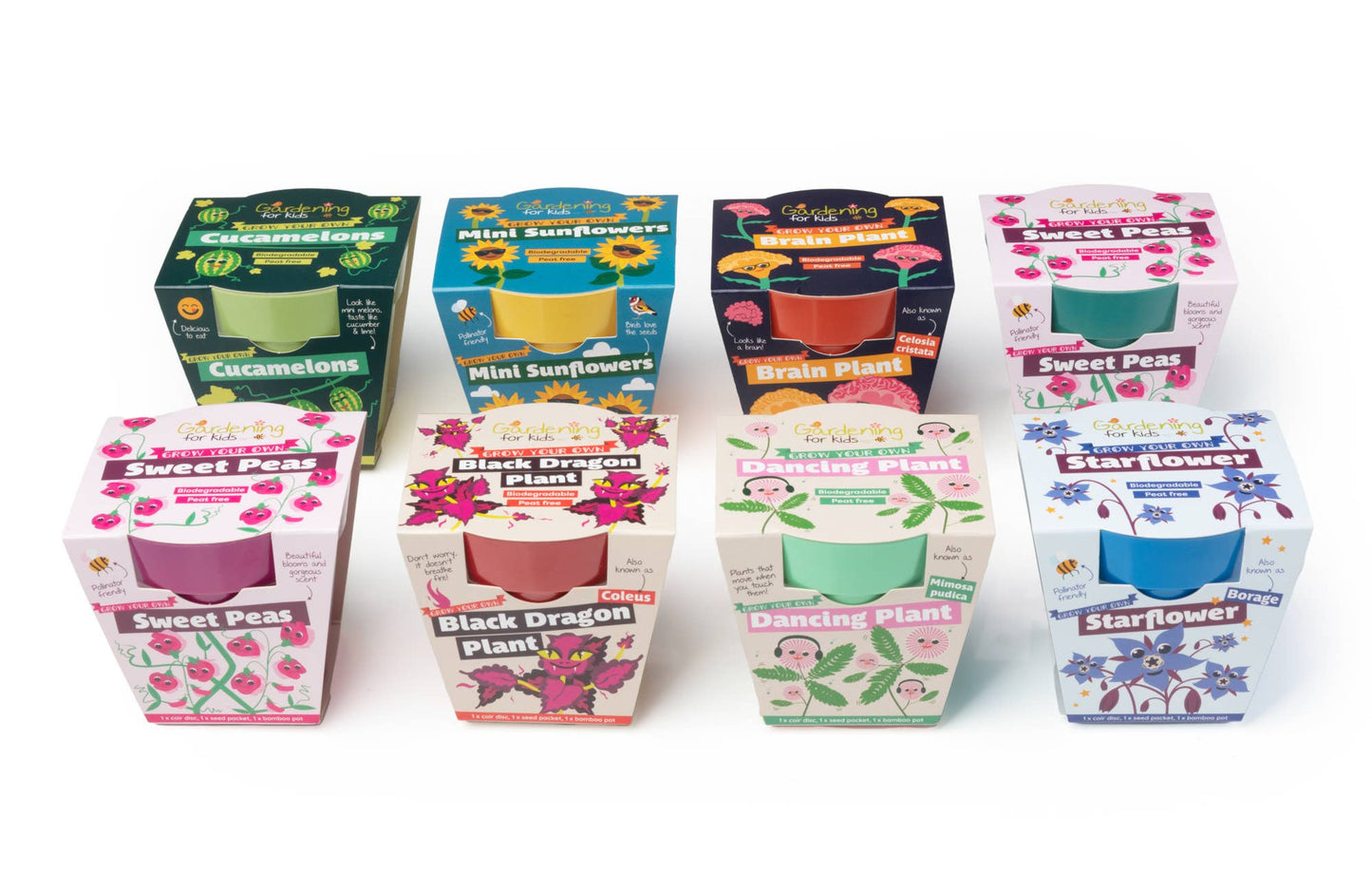 Children's Grow Your Own Sweet Pea Growing Kit