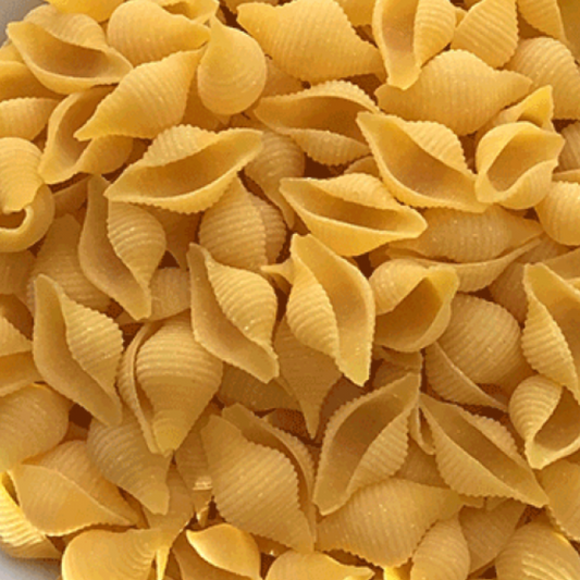 Organic Gluten Free Conchiglie Pasta Shells