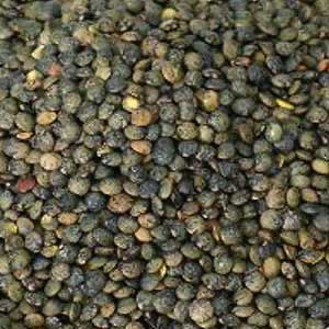 Dark Speckled Lentils (French Puy Style) - 100g - SW Coast Refills