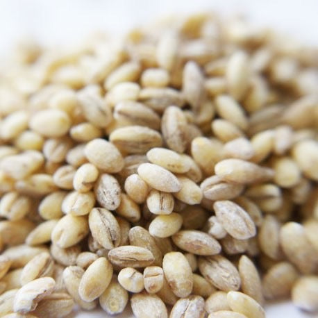 Pearl Barley - 100g - SW Coast Refills