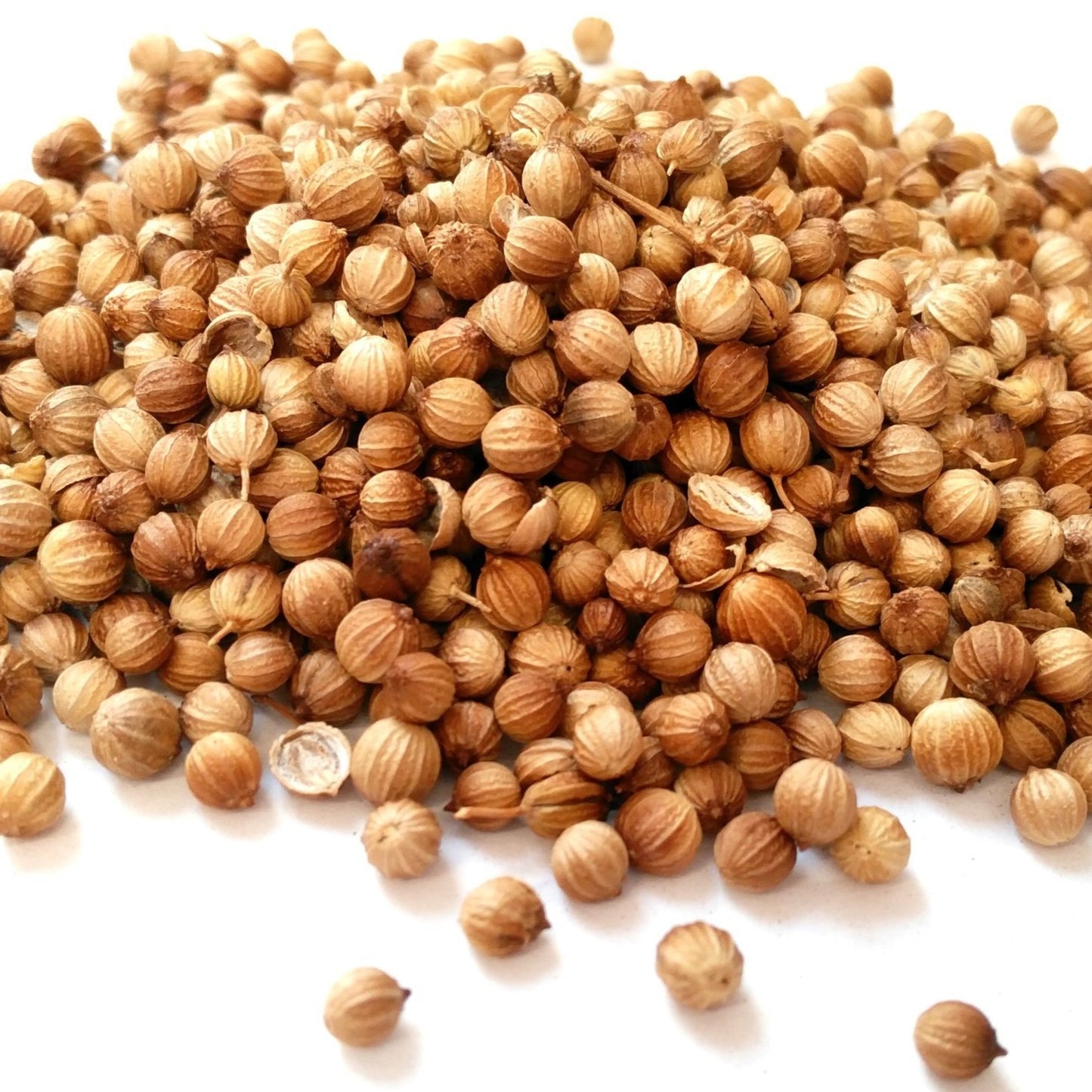 Coriander Seed - 100g - SW Coast Refills