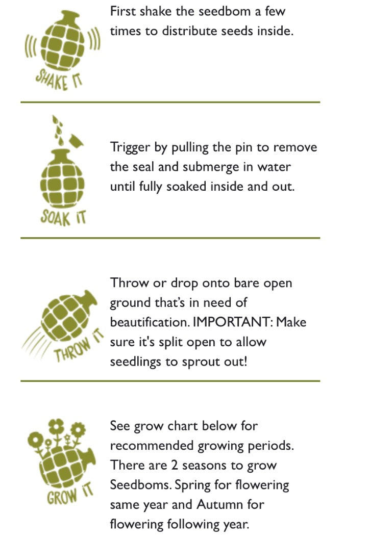 POLLINATOR Seedbom - SW Coast Refills