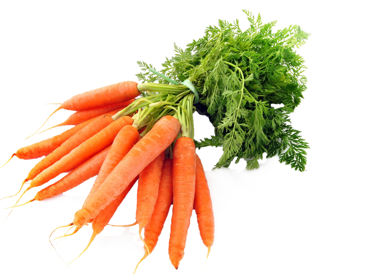 Bunched Carrots with Tops - 500g | Loose Vegetables | Groceries | SW Coast Refills