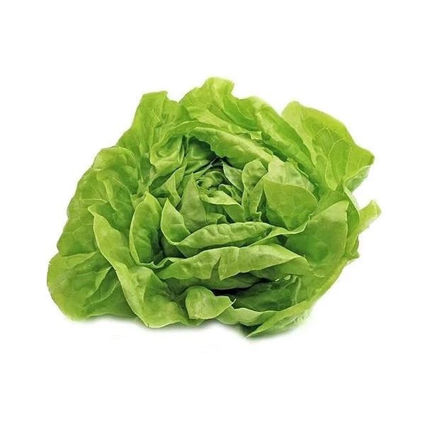 Round Lettuce - Each
