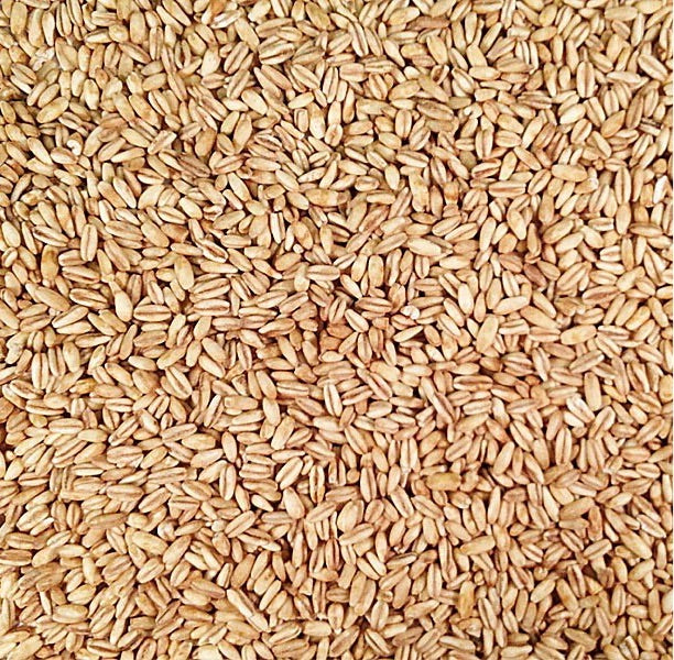 Oat Groats - 500g Plastic Free at SW Coast