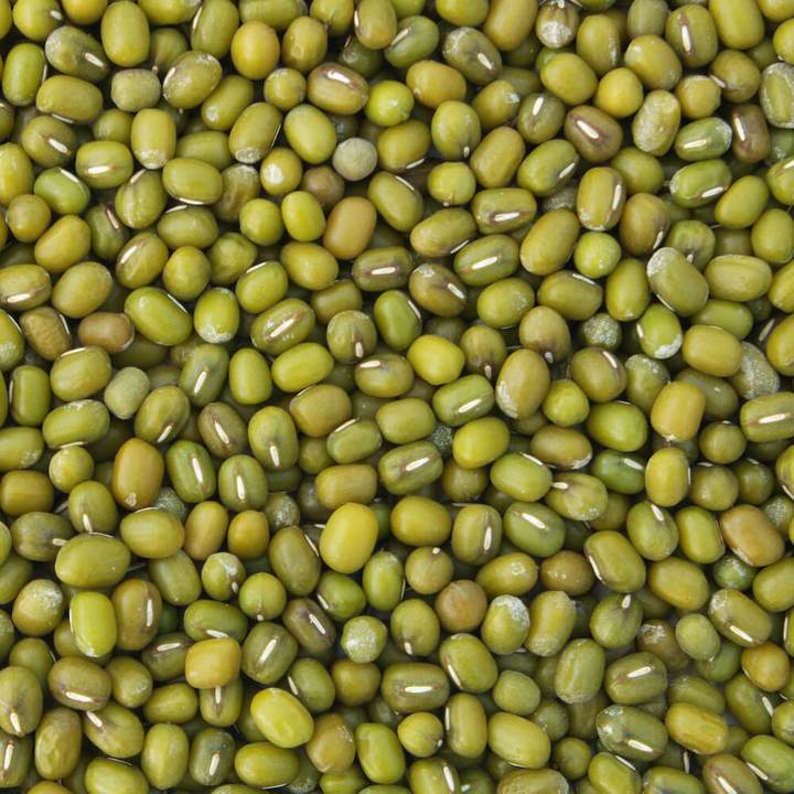 Mung Beans - 100g