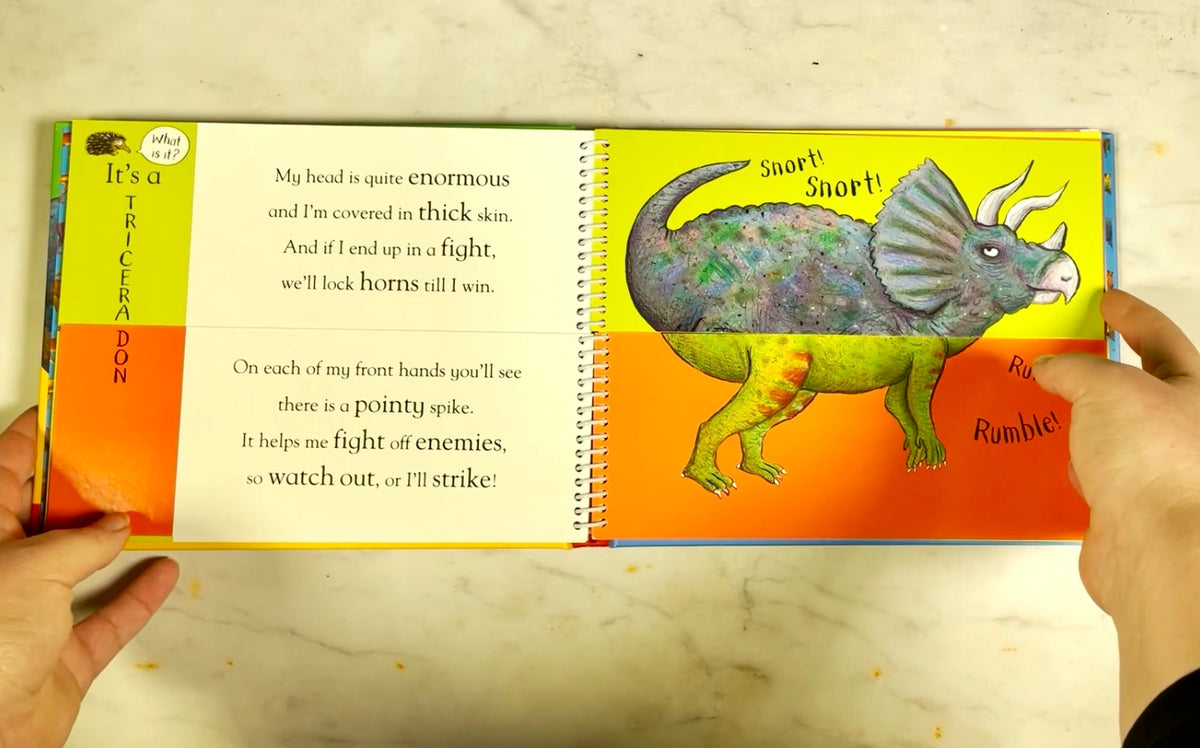 Flip Flap Dinosaurs Board Book – SW Coast Refills