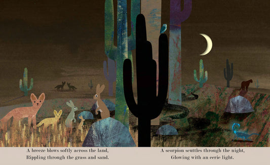 Moon: Nighttime Around the World Board Book