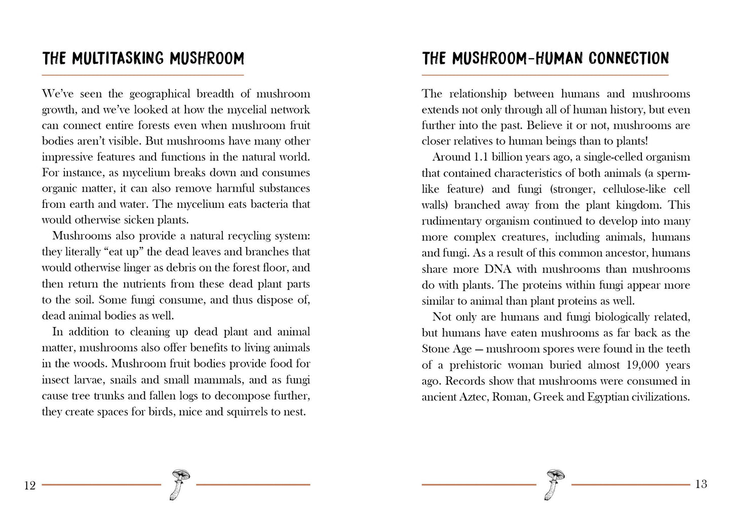 Little Book of Mushrooms