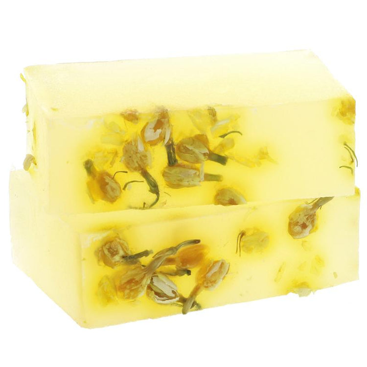 Staff Picks - SW Coast Crew Recommended! - SW Coast Refills