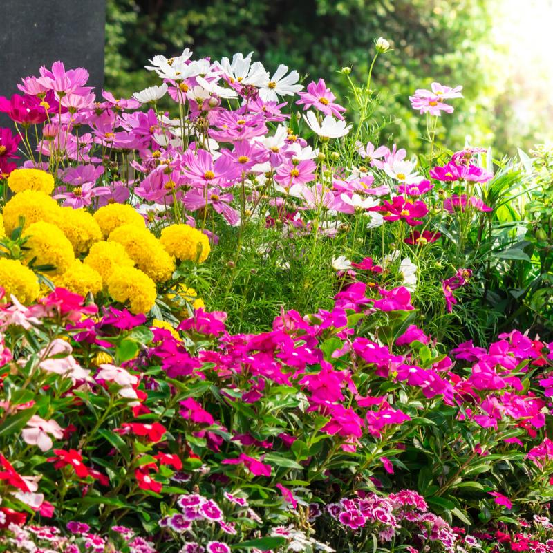 Garden Collection | Seed Bombs, Gardening Essentials, Seeds and More! - SW Coast Refills