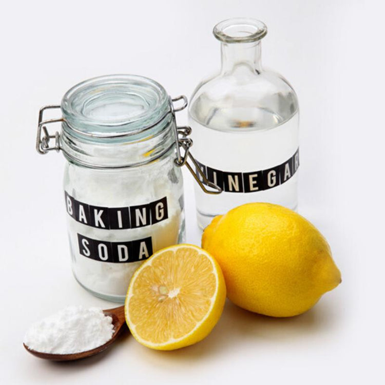 Natural and Vegan Bathroom Cleaners, Sponges, Mould and Limescale Removers, Toilet Cleaners and more - SW Coast Refills