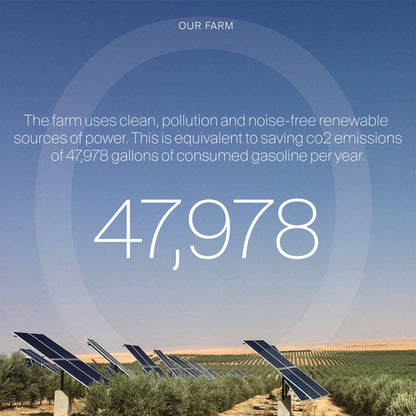 Extra Virgin Olive Oil - Onsuri