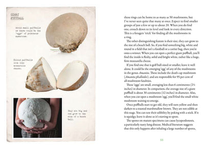 First Time Forager - National Trust Book