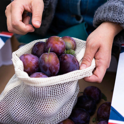 Organic Mesh Cotton Produce Bag (Small) - SW Coast Refills 