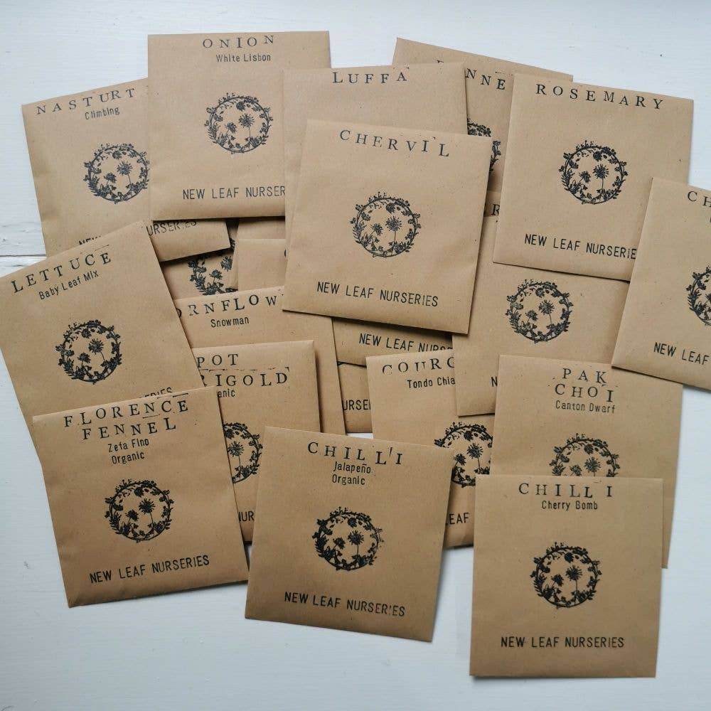 Vegetable Seeds for Spring Growing ~ Plant Now!