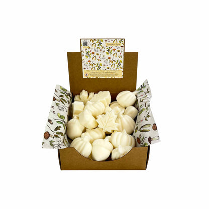 Individual Autumn Spice Wax Melts