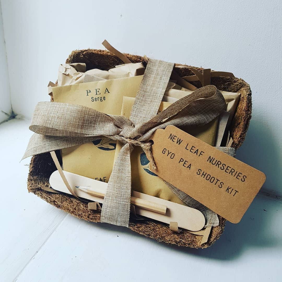 Grow Your Own: Pea Shoots Grow Box Seed Kit