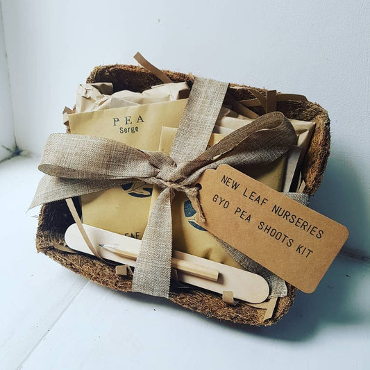 Grow Your Own: Pea Shoots Grow Box Seed Kit