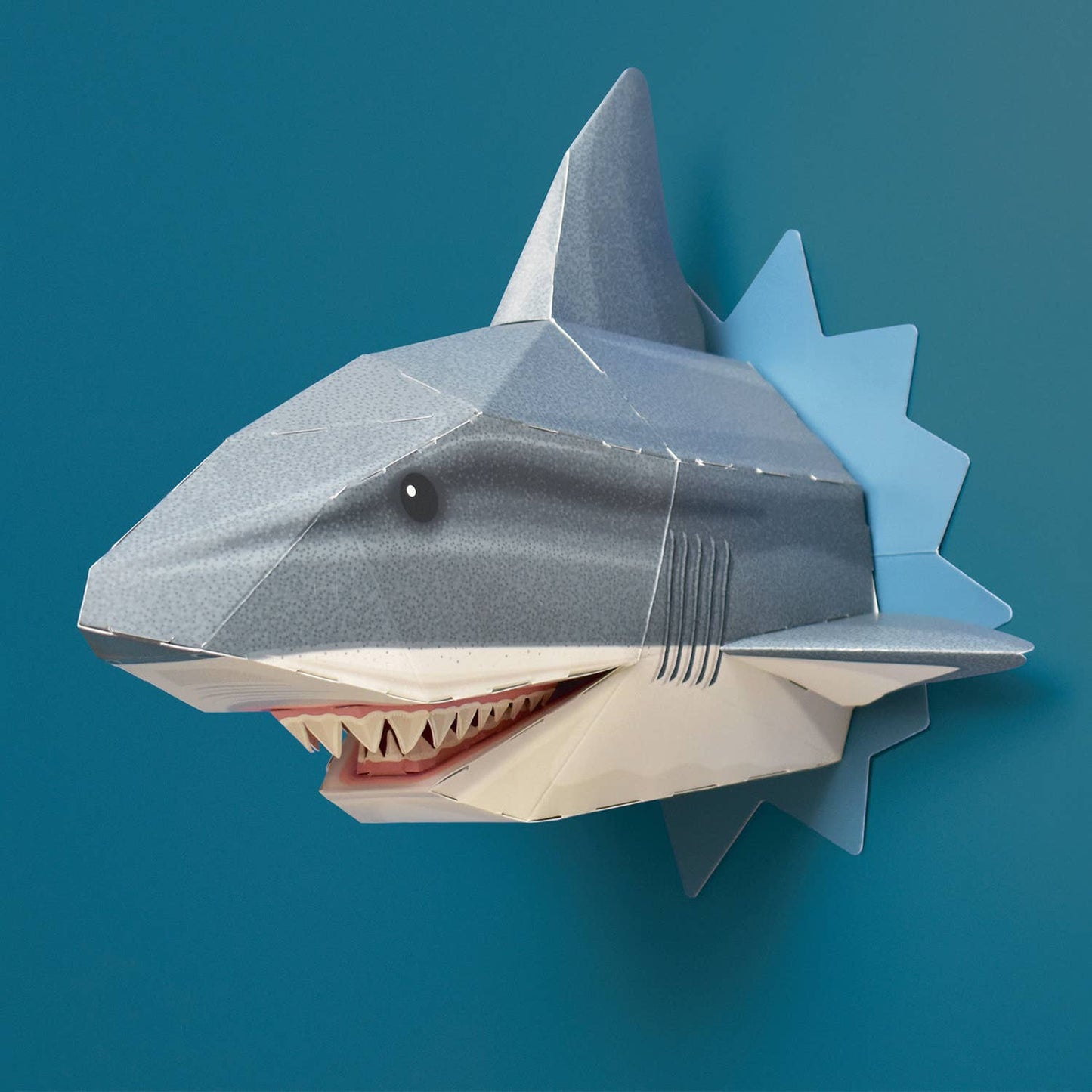 Create Your Own - Snappy Shark