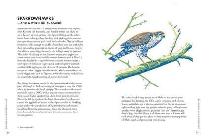 Planting For Garden Birds