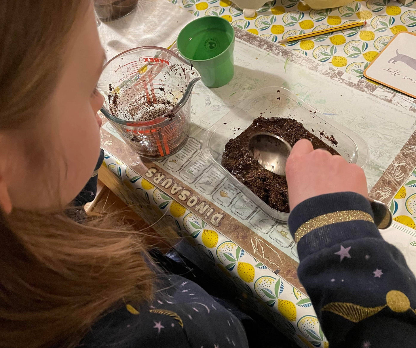 Children's Grow Your Own Sunflowers Growing Kit