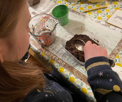 Children's Grow Your Own Sunflowers Growing Kit