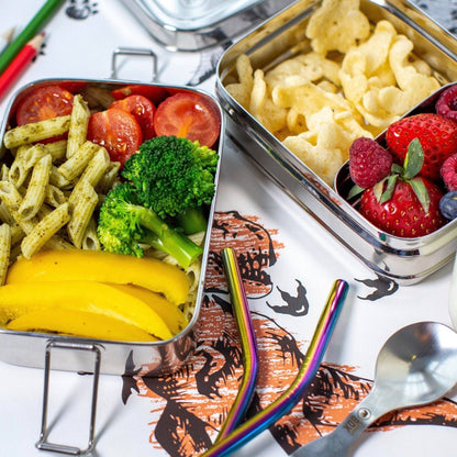 Elephant Box 3-in-1 Stainless Steel Snack Box