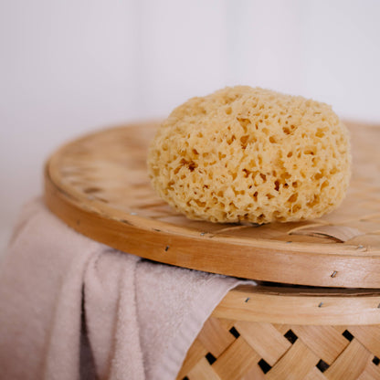Natural Sea Sponge - Hand Harvested