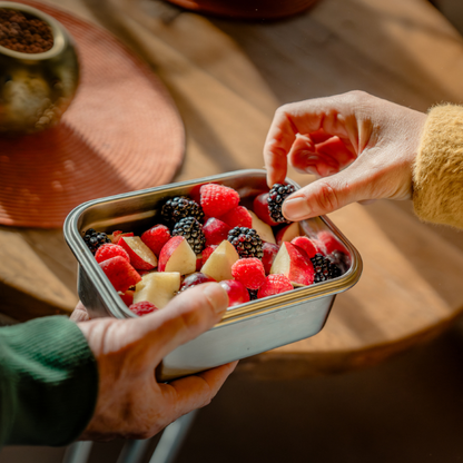 Clip & Seal Stainless Steel Lunchbox - Small / Medium /Large