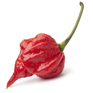 Scorpion On The Beach Hot Chilli Sauce - Weymouth 51