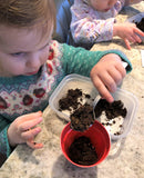 Children's Grow Your Own Strawberries Growing Kit