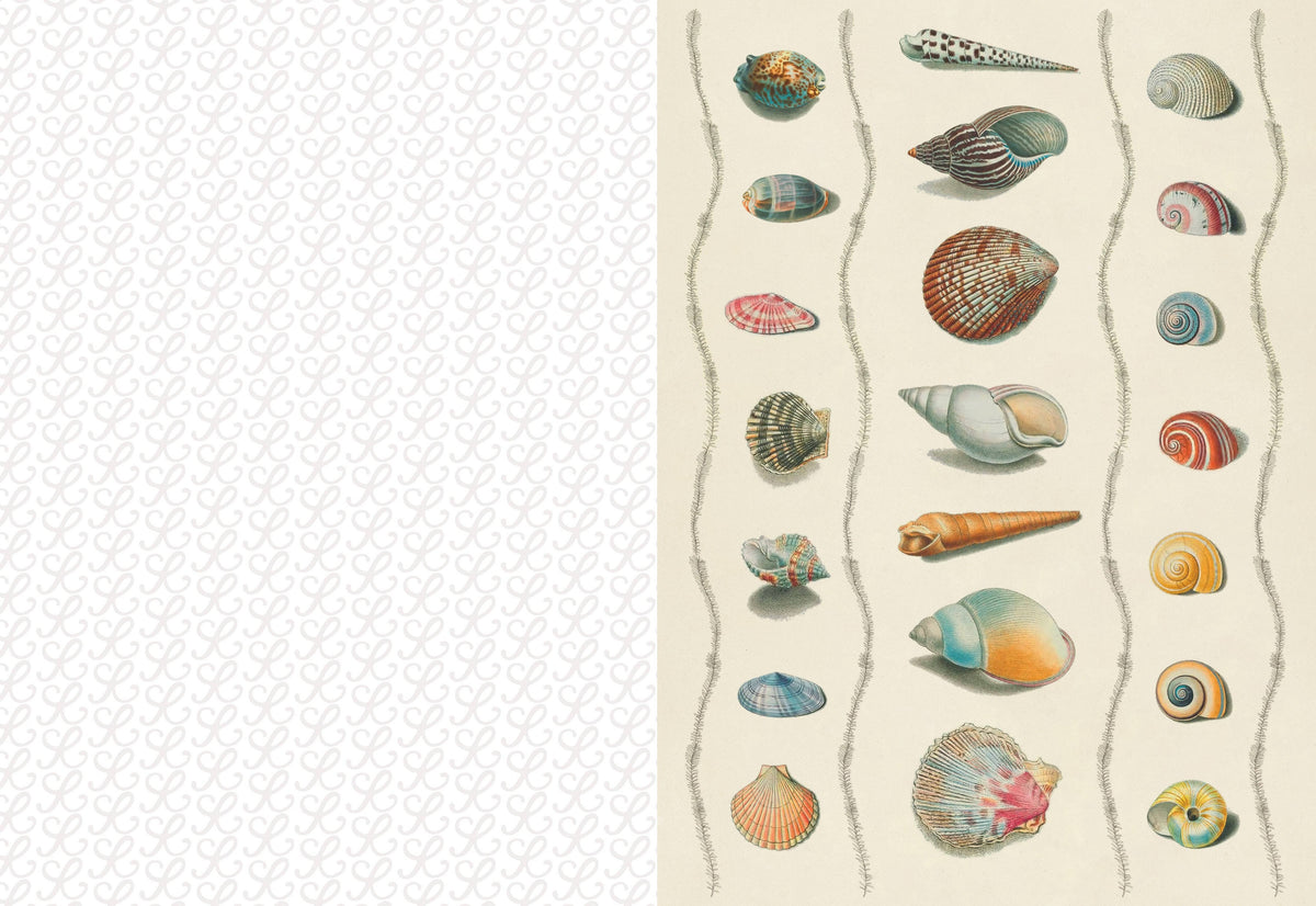 The Collage Compendium - 2,000 Images to Cut Out & Collage
