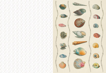 The Collage Compendium - 2,000 Images to Cut Out & Collage