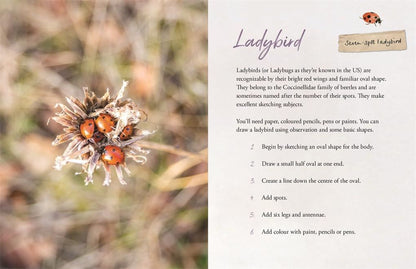 The Wild Remedy Journal