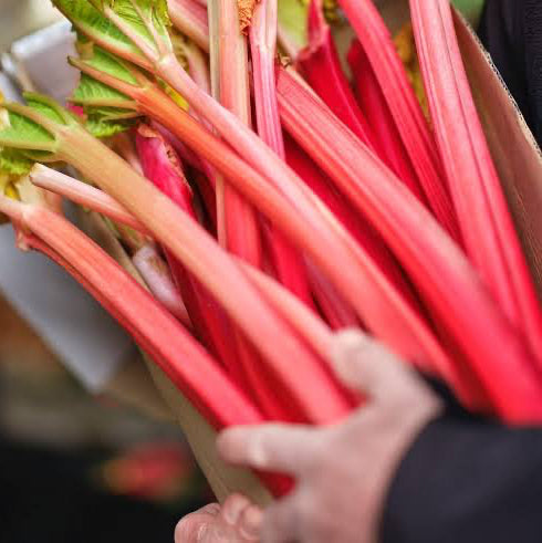 Forced Yorkshire Rhubarb 400g