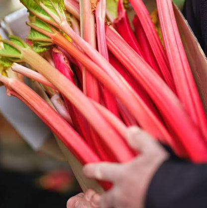 Forced Yorkshire Rhubarb 400g