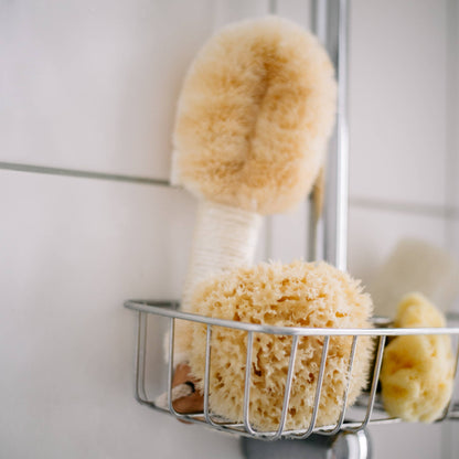 Natural Sea Sponge - Hand Harvested
